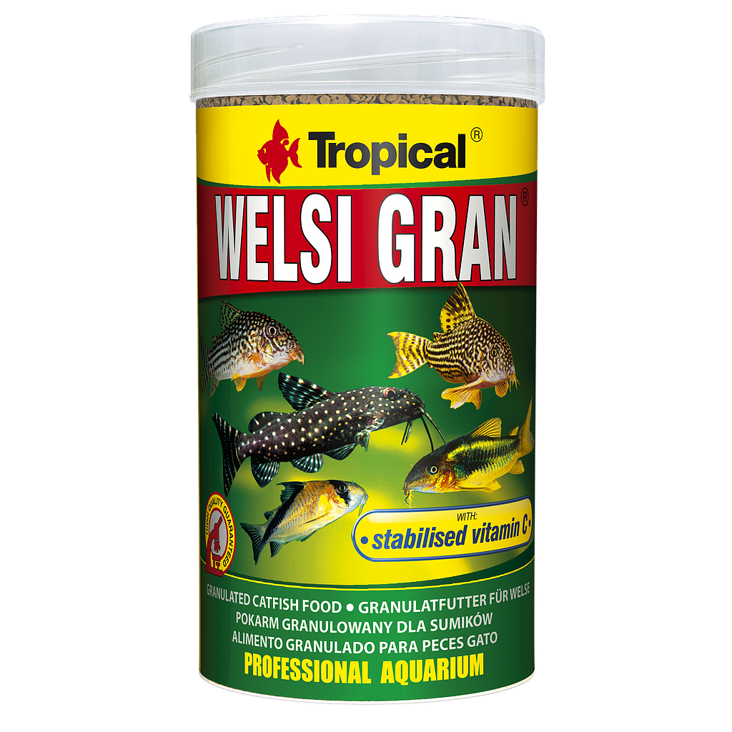 TROPICAL WELSI GRAN