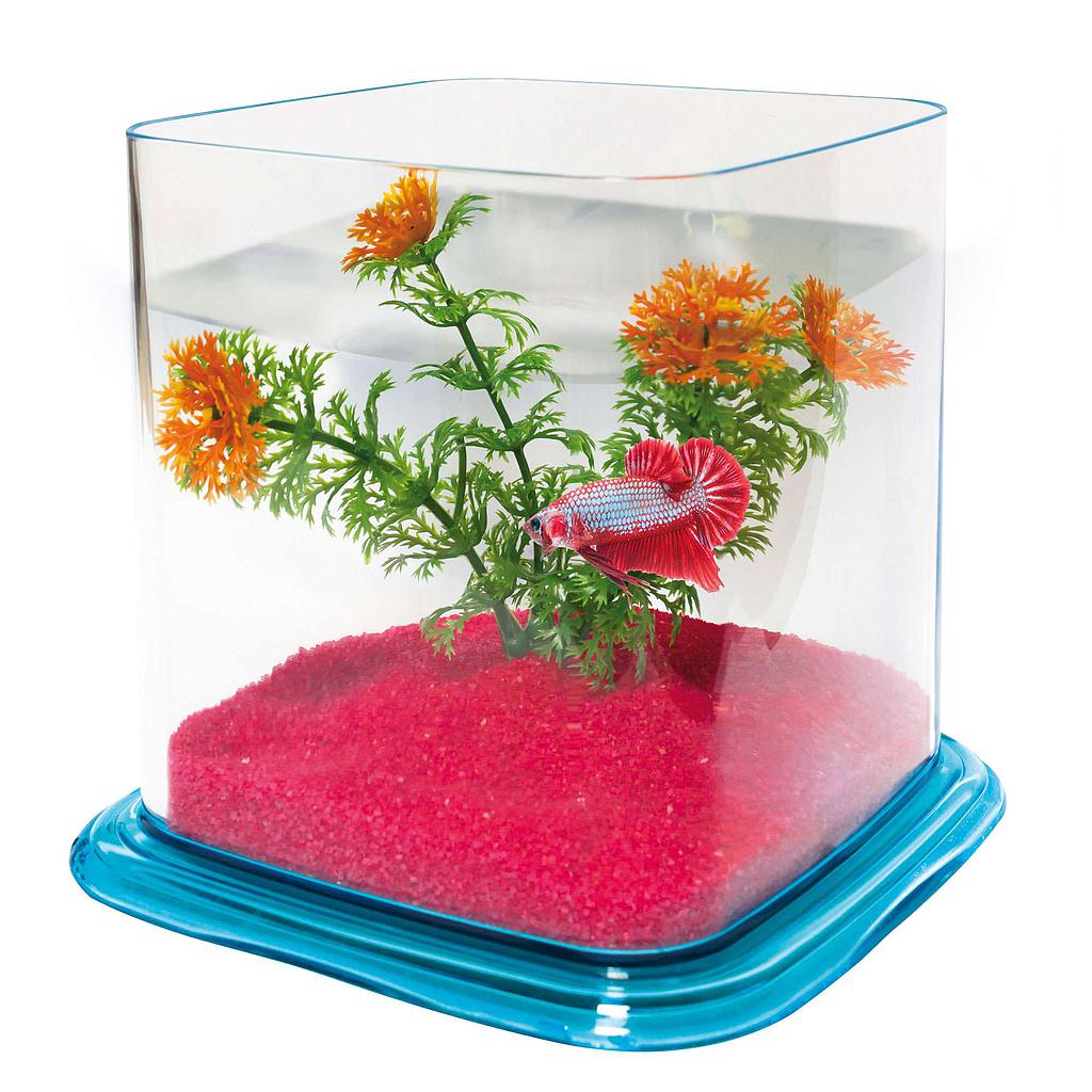 Bettera BETTA PARADISE 1.90L 15x15x13,5cm