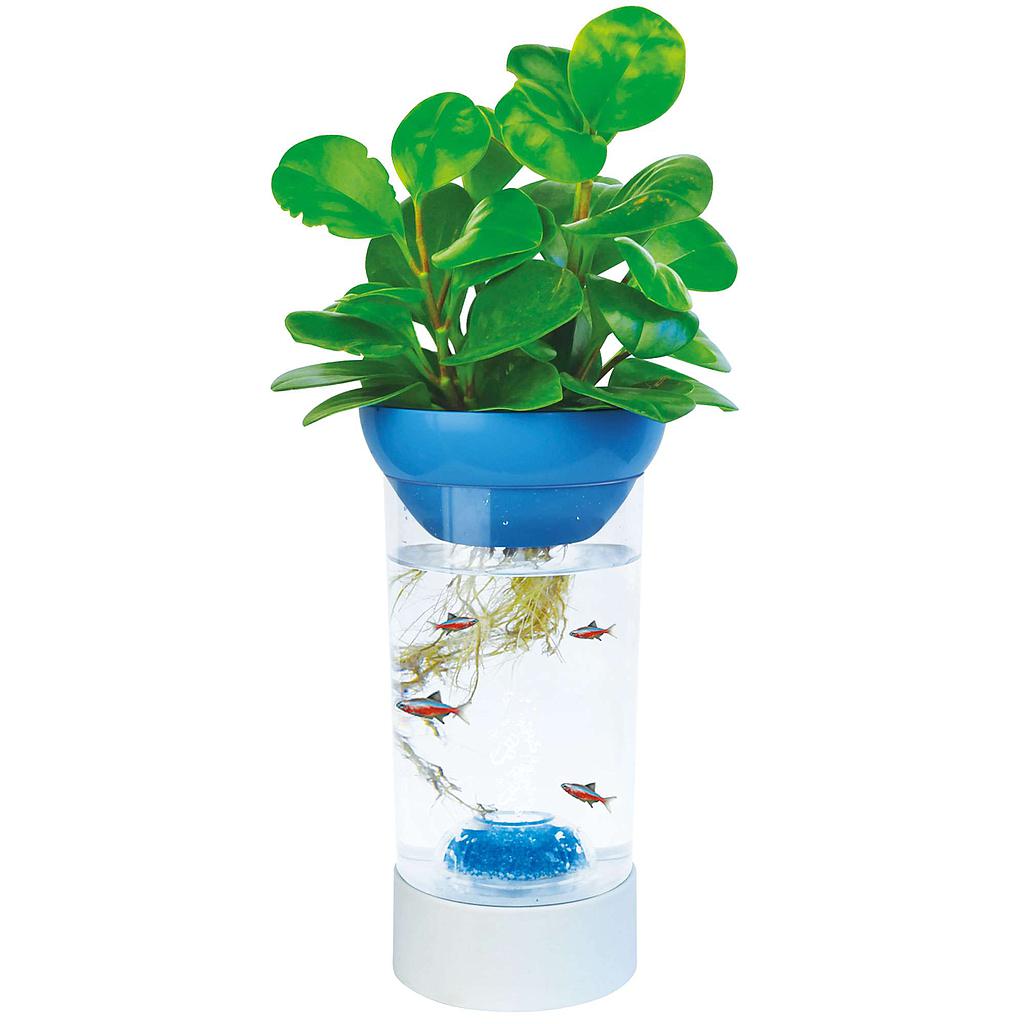 Kit Pecera / Betera NATURE azul 1.20L 25,5x12,9cm