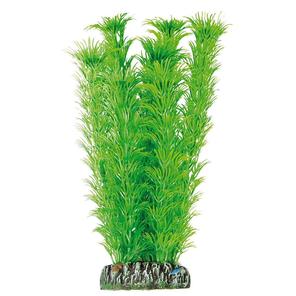Ambulia de AQUATIC PLANTS (PLÁSTICO) verde 21cm