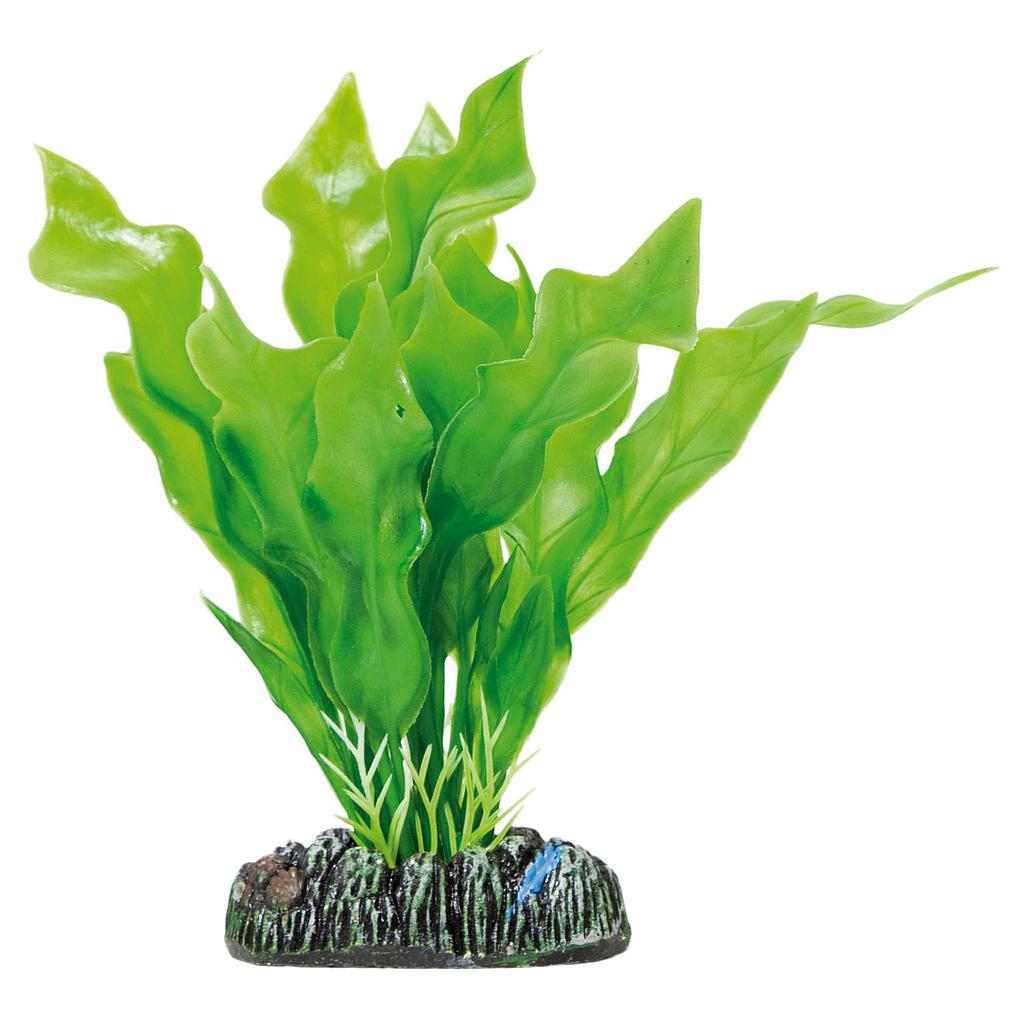 Aponogeton crispus de AQUATIC PLANTS (PLÁSTICO) verde 13,5cm