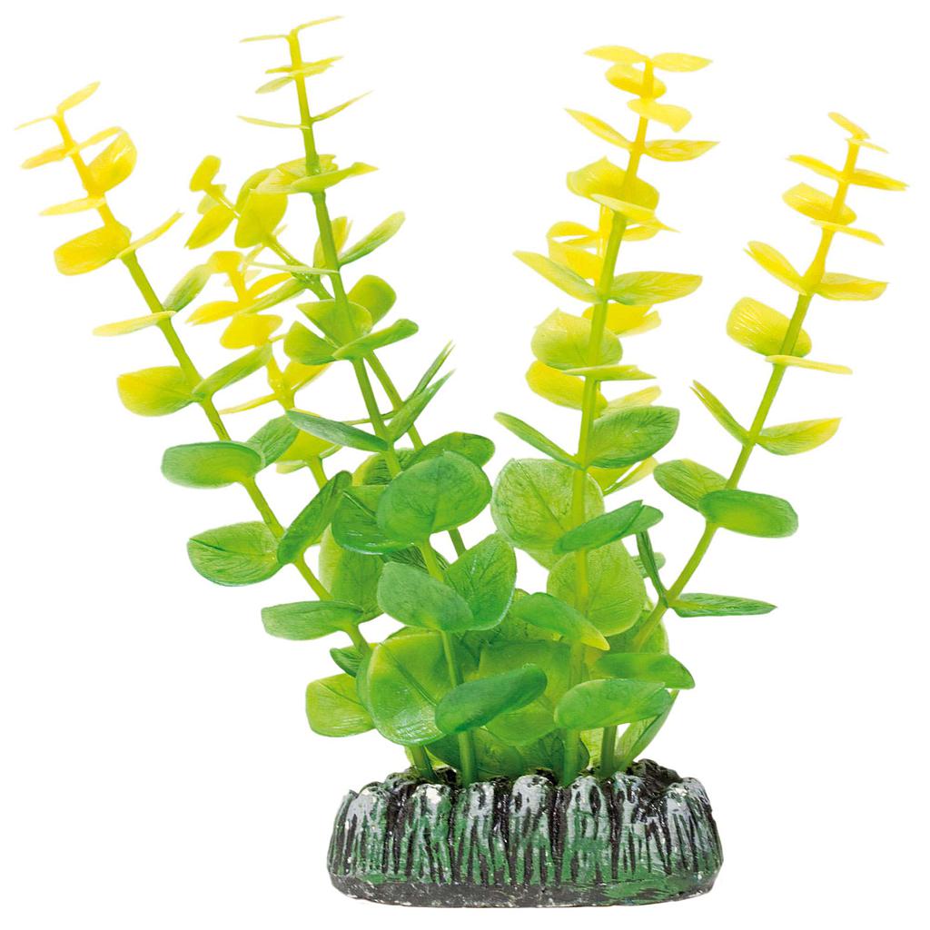 Bacopa de AQUATIC PLANTS (PLÁSTICO) amarillo 13cm
