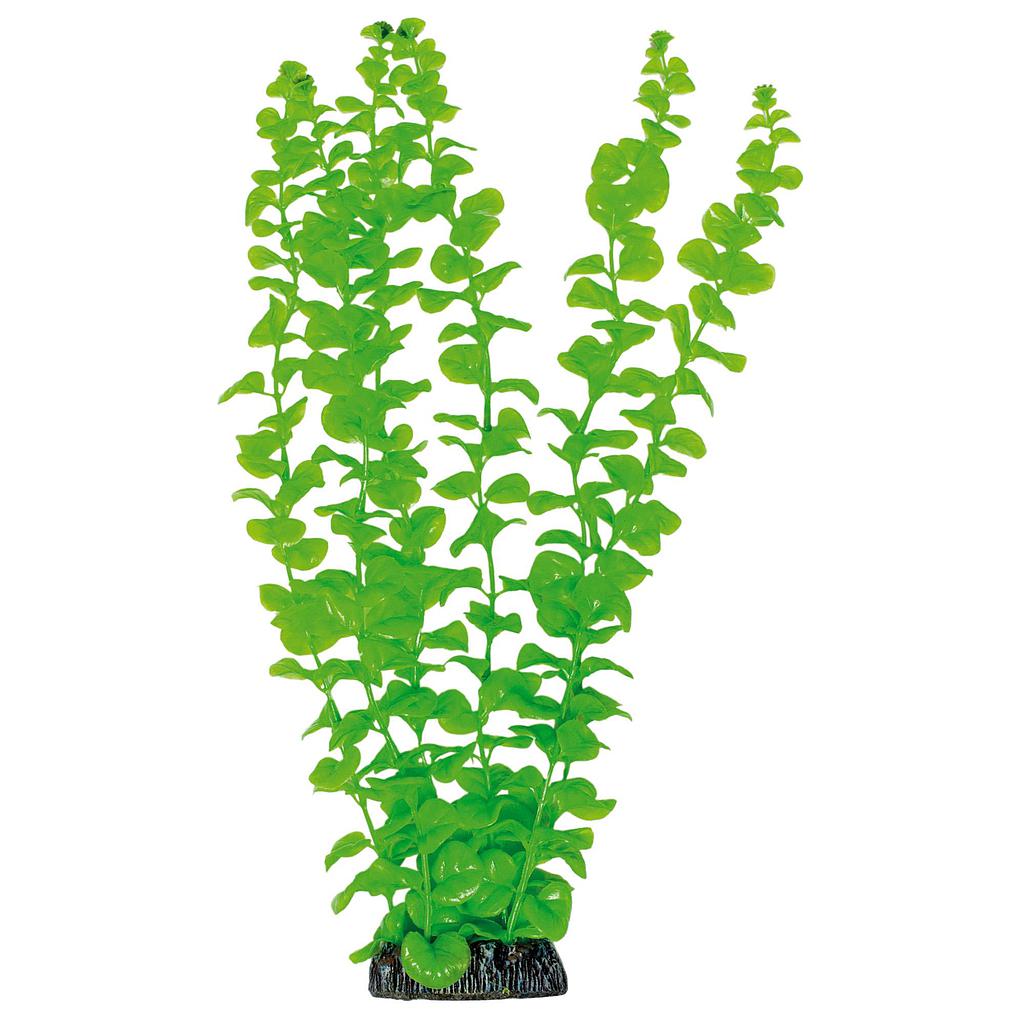 Bacopa de AQUATIC PLANTS (PLÁSTICO) verde 38cm