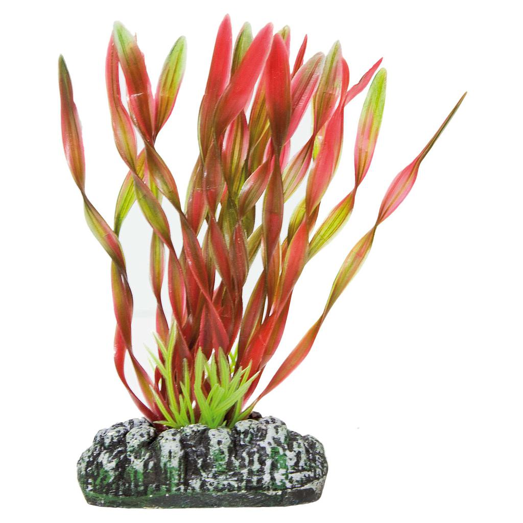 Vallisneria de AQUATIC PLANTS (PLÁSTICO) rojo 28cm