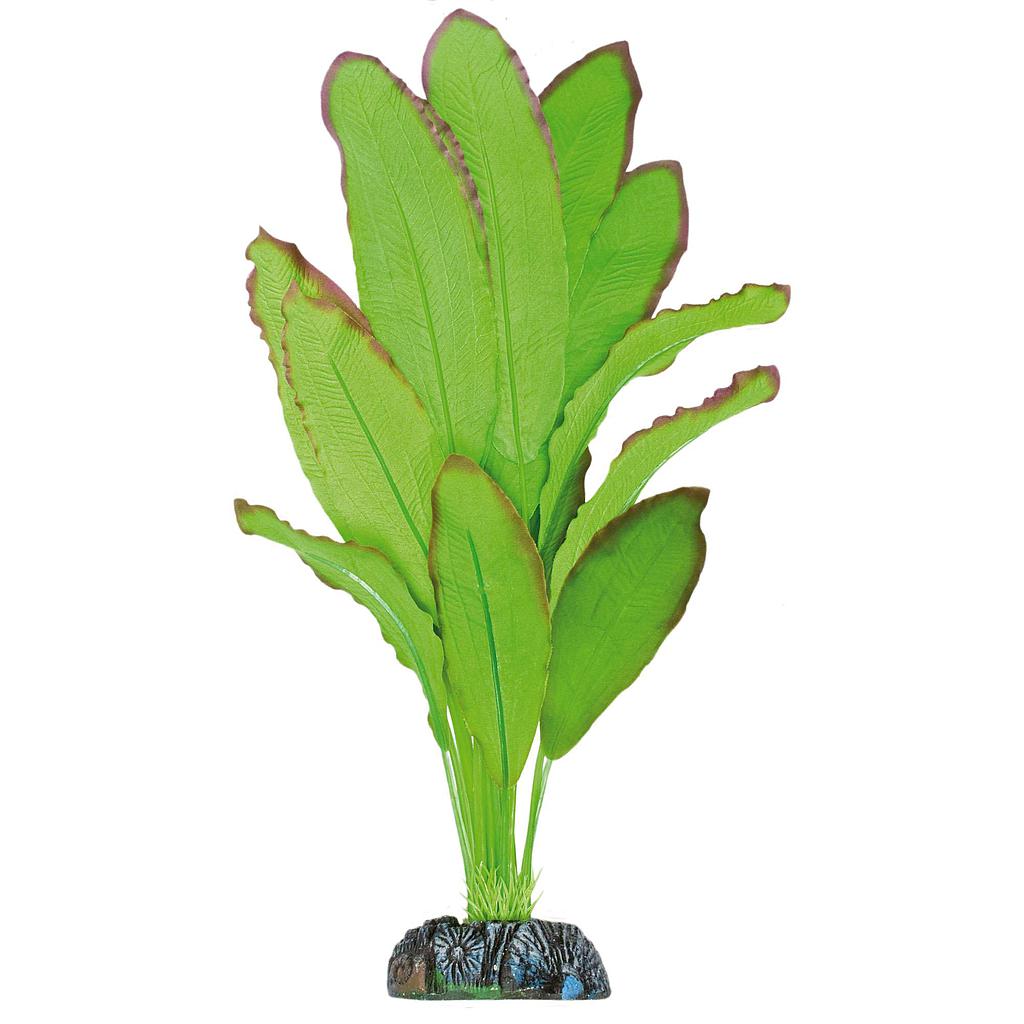 Planta de seda Echinodorus spidemet verde 39cm