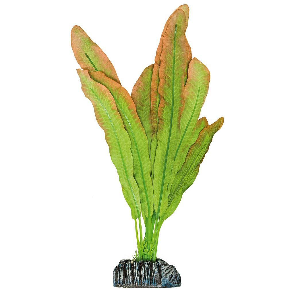 Microsorium de AQUATIC PLANTS (SEDA) verde 31cm