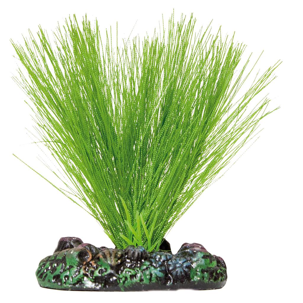 Miriophyllium de AQUATIC PLANTS verde 7cm