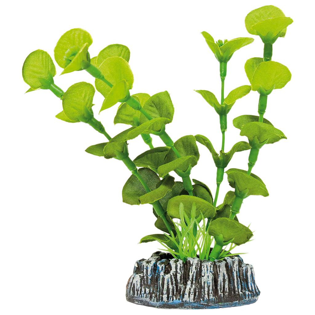 Ninfa de AQUATIC PLANTS (SEDA) verde 14cm