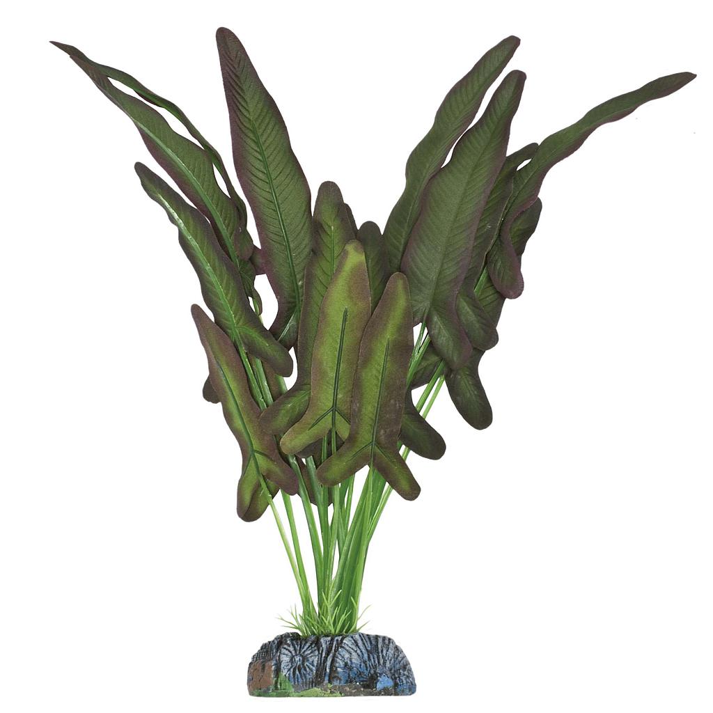 Syngonium de AQUATIC PLANTS (SEDA) verde 38cm
