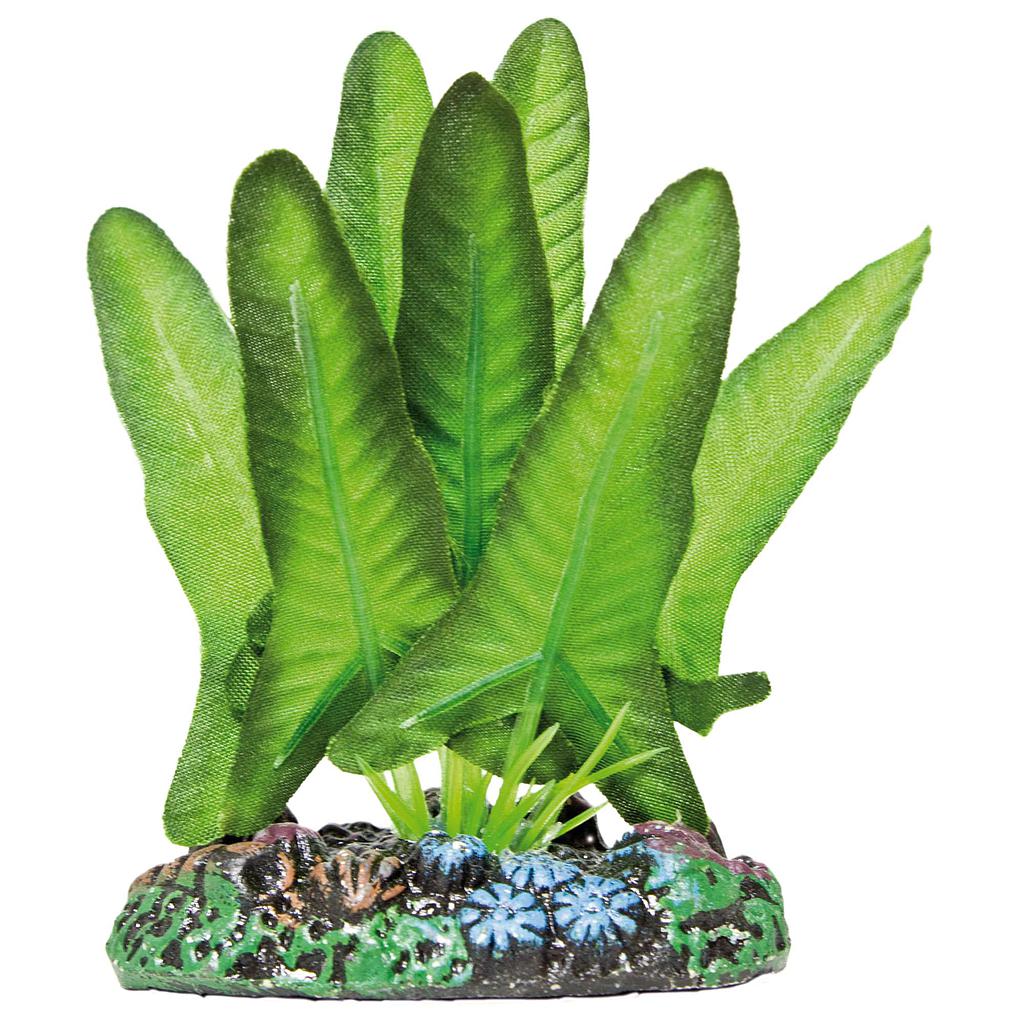 Syngonium de AQUATIC PLANTS (SEDA) verde 7cm