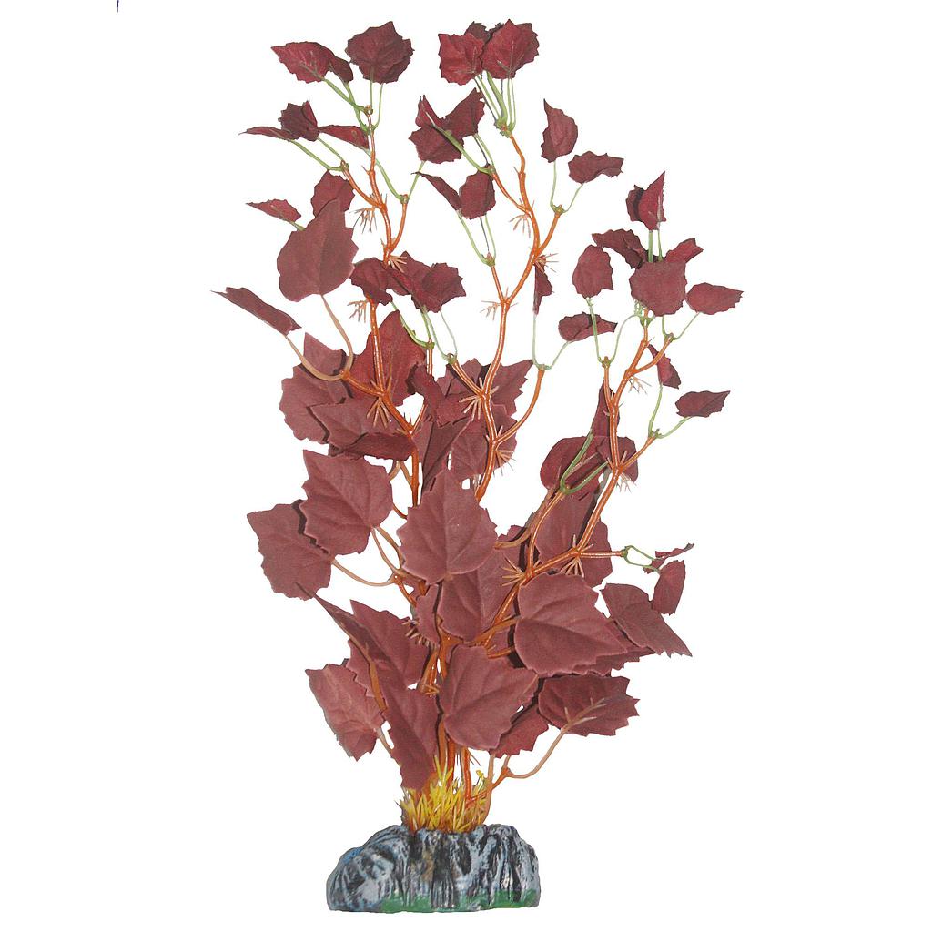 Hygrofila de AQUATIC PLANTS (SEDA) rojo 14cm