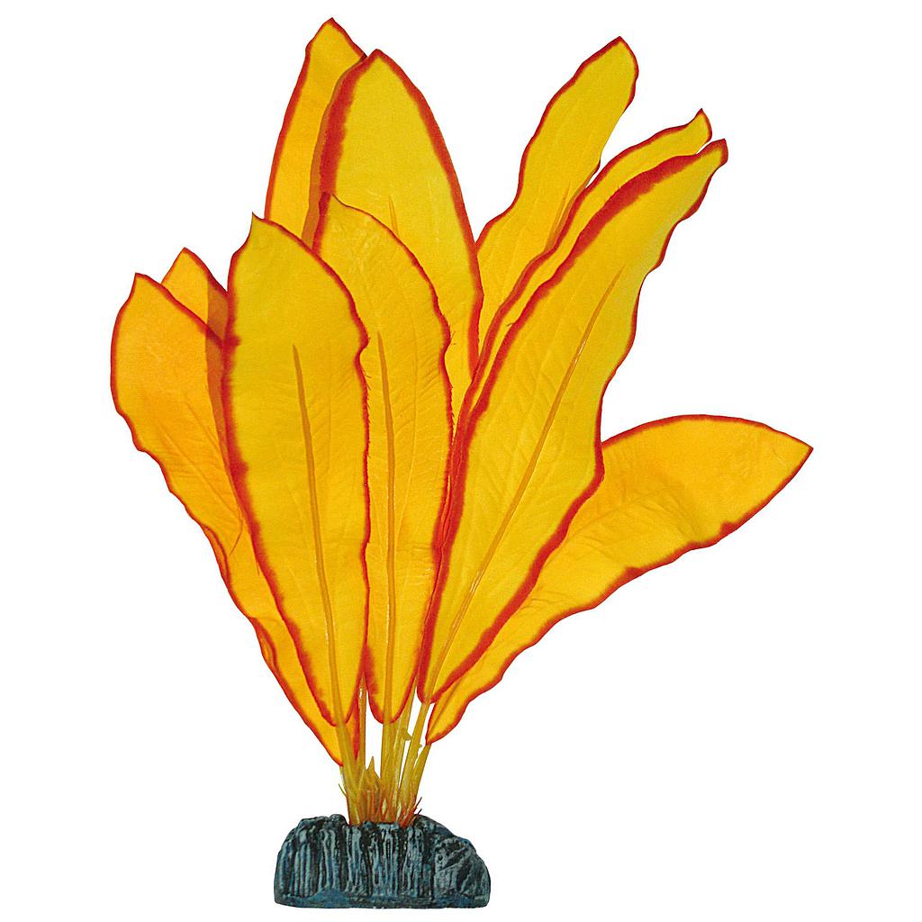 Echinodorus de AQUATIC PLANTS (SEDA) amarillo 11cm