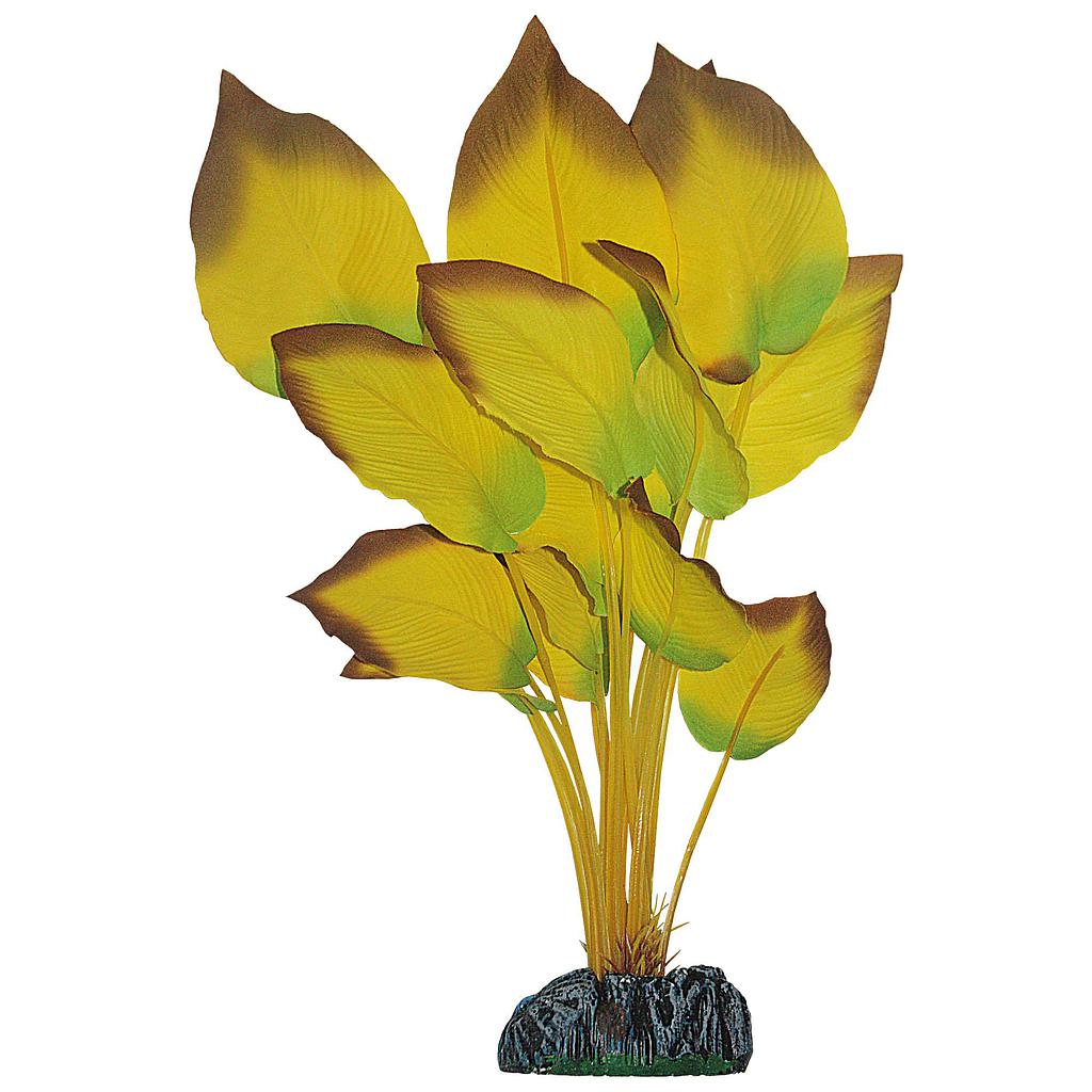 Anubias de AQUATIC PLANTS (SEDA) amarillo 20cm