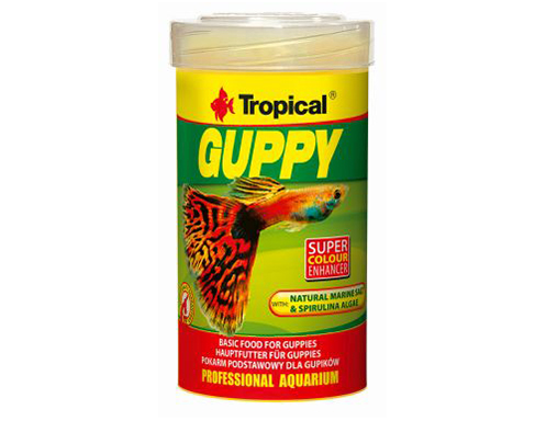 TROPICAL GUPPY