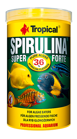 TROPICAL SUPER SPIRULINA FORTE