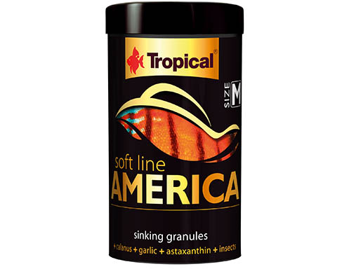 67423 SOFT LINE AMERICA M 100 ML