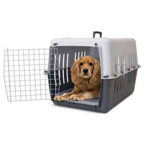 SAVIC TRANSPORTIN PET CARRIER 4