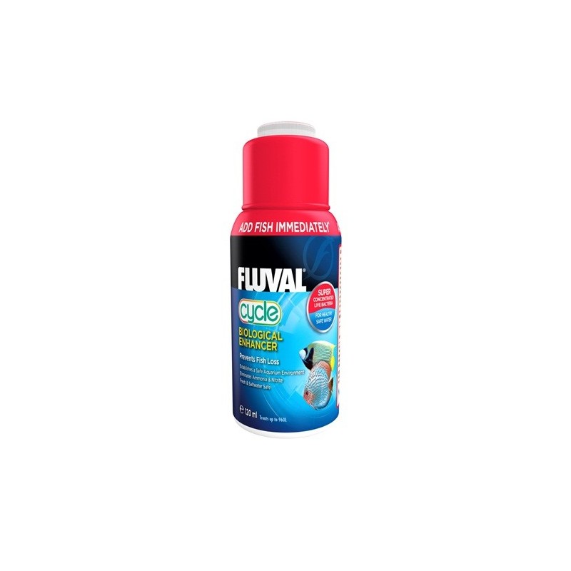 CYCLE BACTERIAS FLUVAL