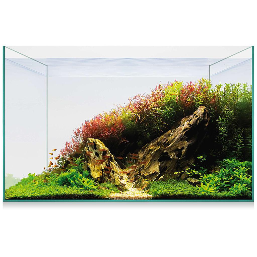 Kit Aquascape Basic 38
