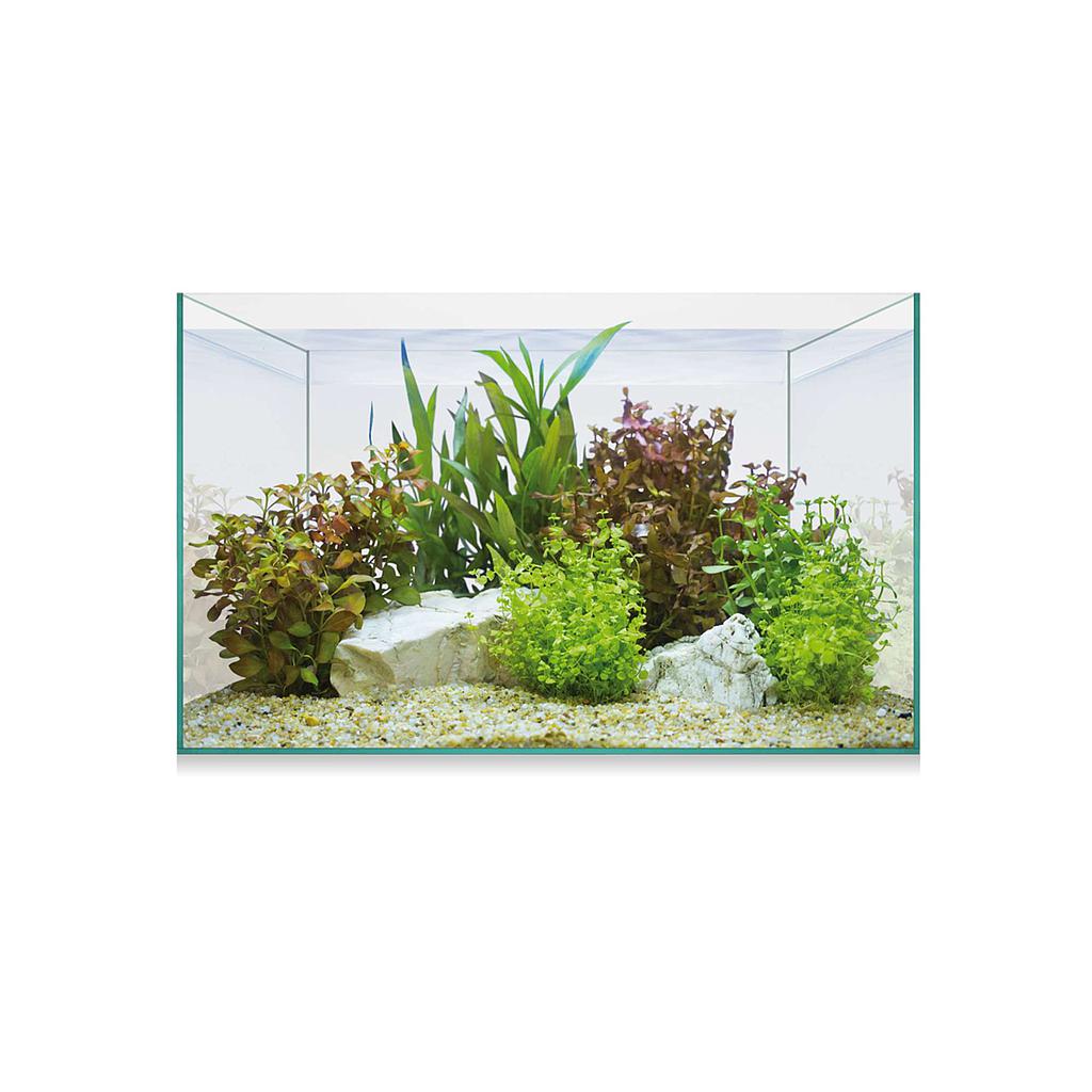 Kit Aquascape Basic 8