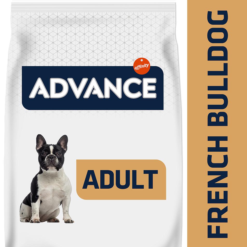 ADVANCE Bulldog Francés