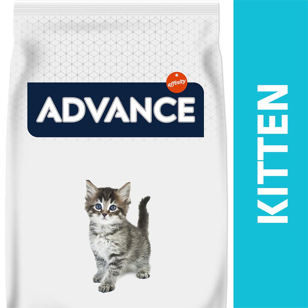 ADVANCE GATO KITTEN CHICKEN