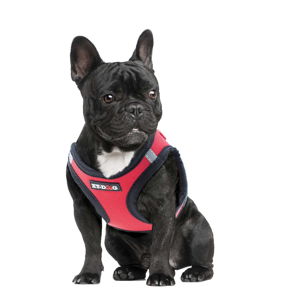Arnés NEO de XT-DOG