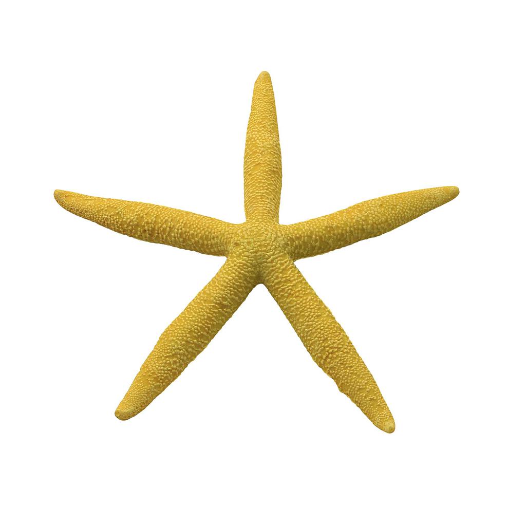 Estrellas de mar de ICA amarillo 15,5cm