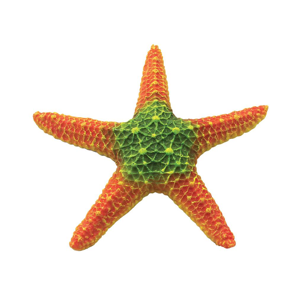 Estrellas de mar de ICA naranja 18,5cm