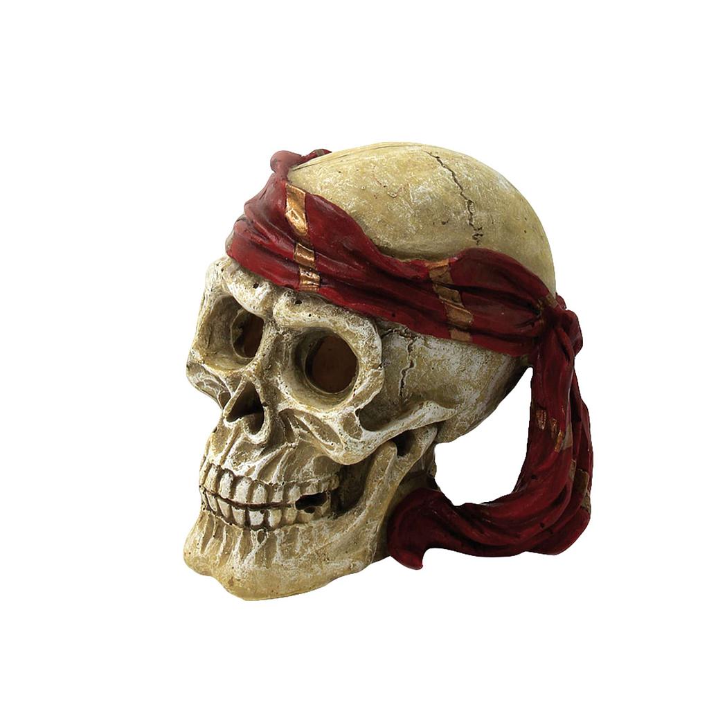 Ornamento con un cráneo de ICA 15x12,5x14cm