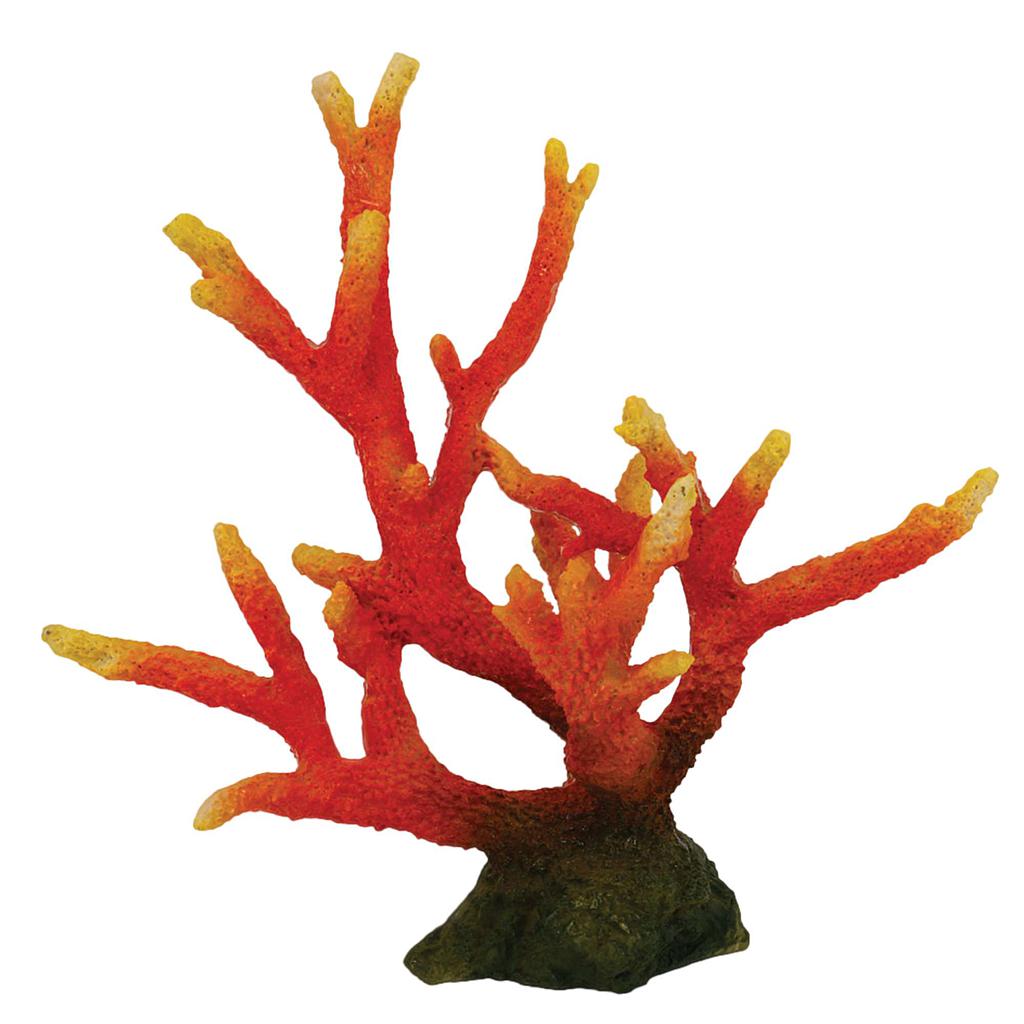 Corales de ICA 23x15x22,5cm