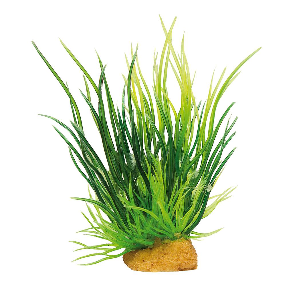 Planta MAGIC ROCKS verde (3 und.)