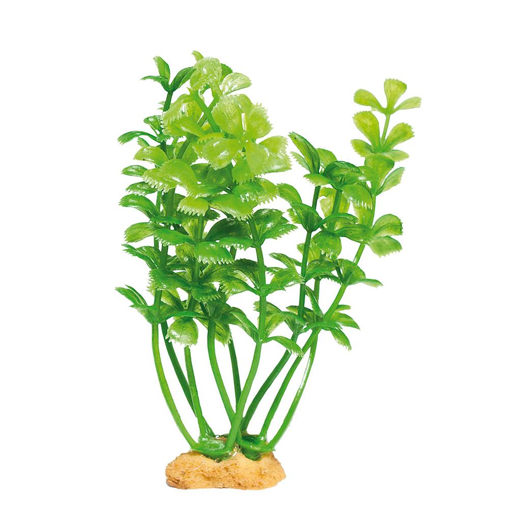 Planta MAGIC ROCKS verde (3 und.)