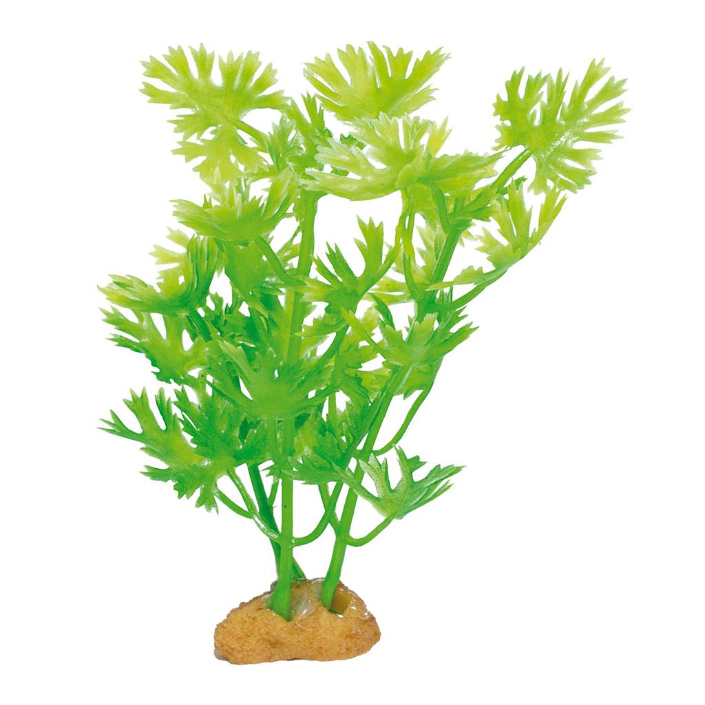Planta MAGIC ROCKS verde (3 und.)