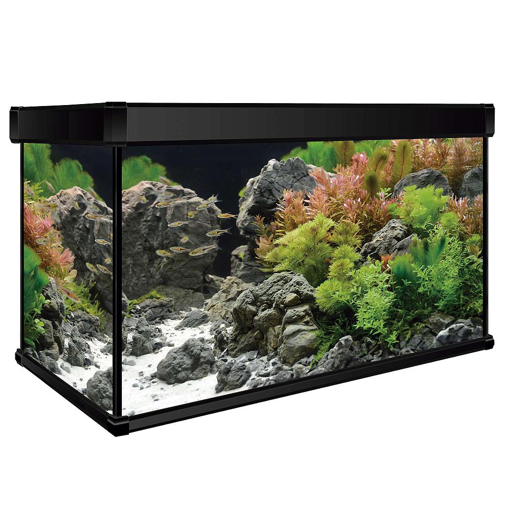 Kit AQUA LUX PRO 120 con filtro interior (120.00 L)