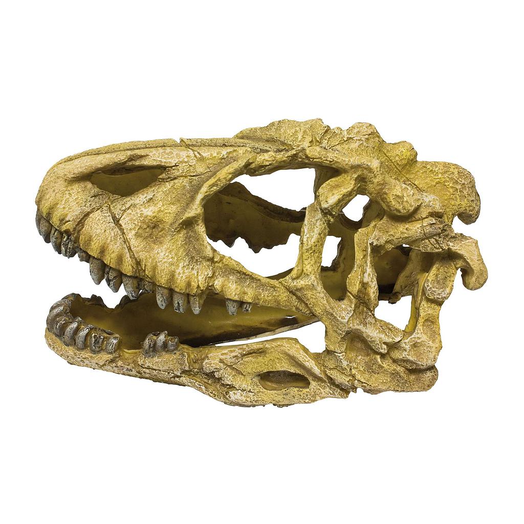 Ornamento con un cráneo de dinosaurio 10x13x24cm