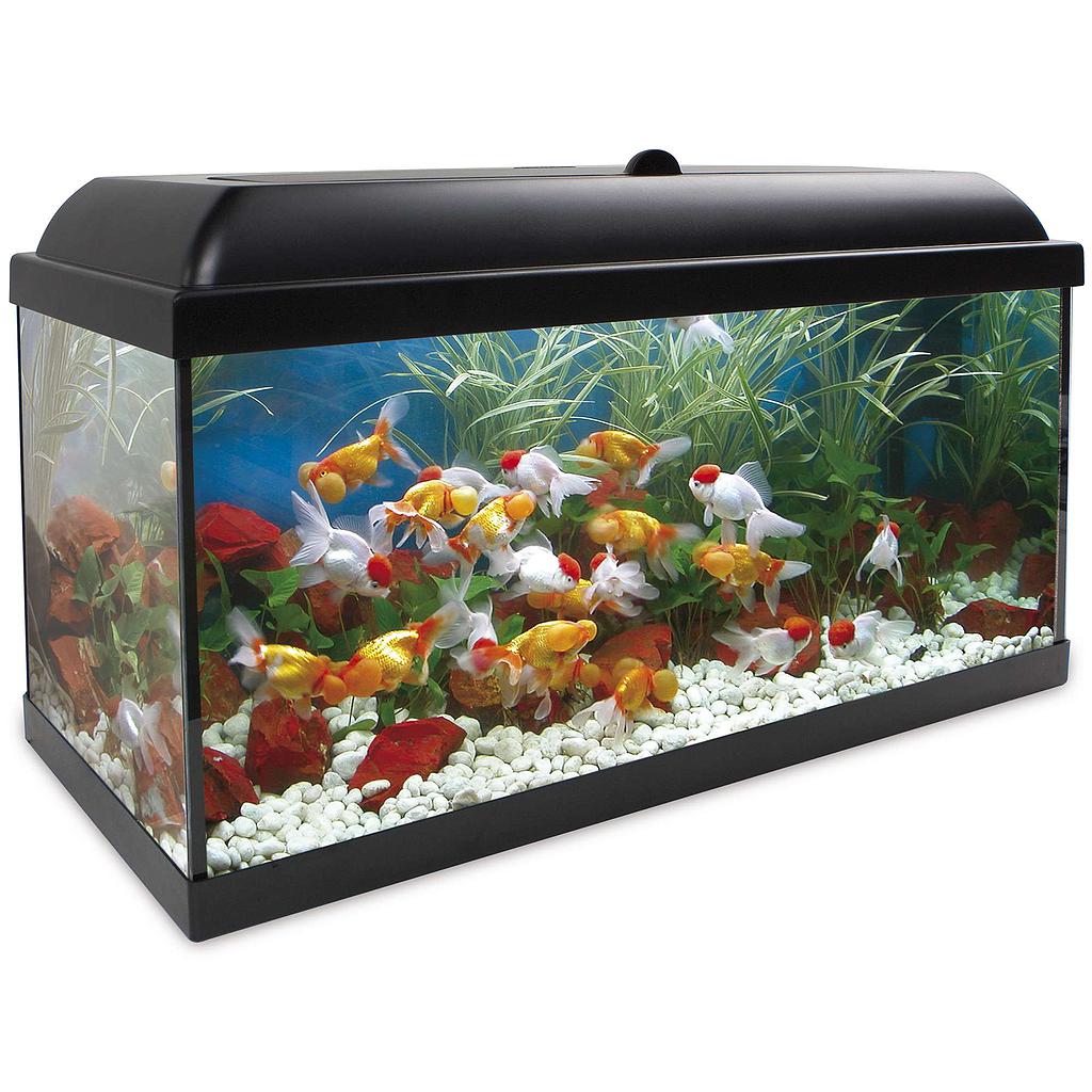 Kit AQUA-LED PRO 100 con filtro interior (100.00 L)