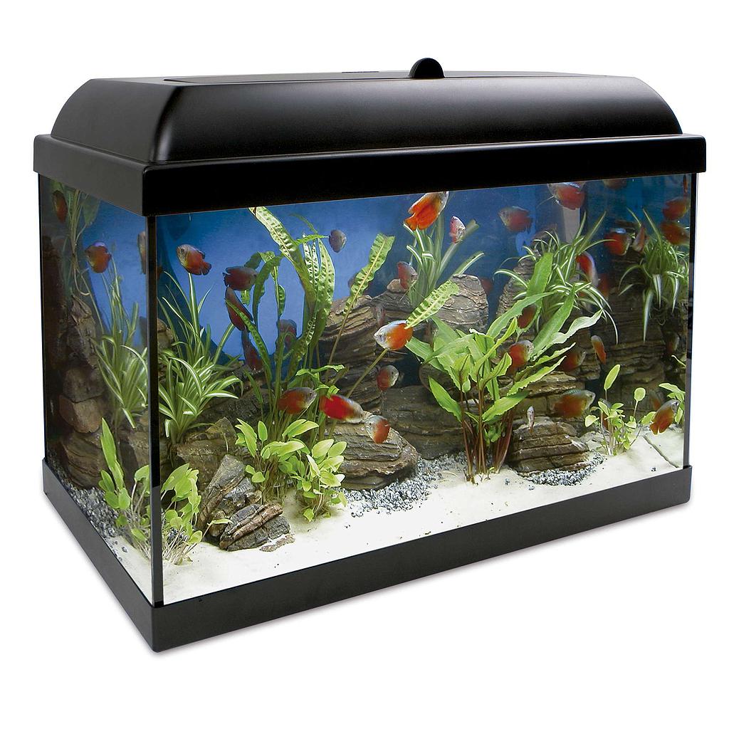 Kit AQUA-LED PRO 25 con filtro interior (25.00 L)