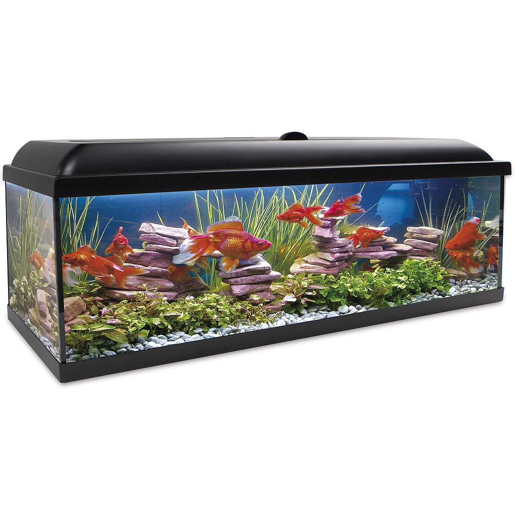Kit AQUA-LED PRO 300 con filtro exterior (300.00 L)