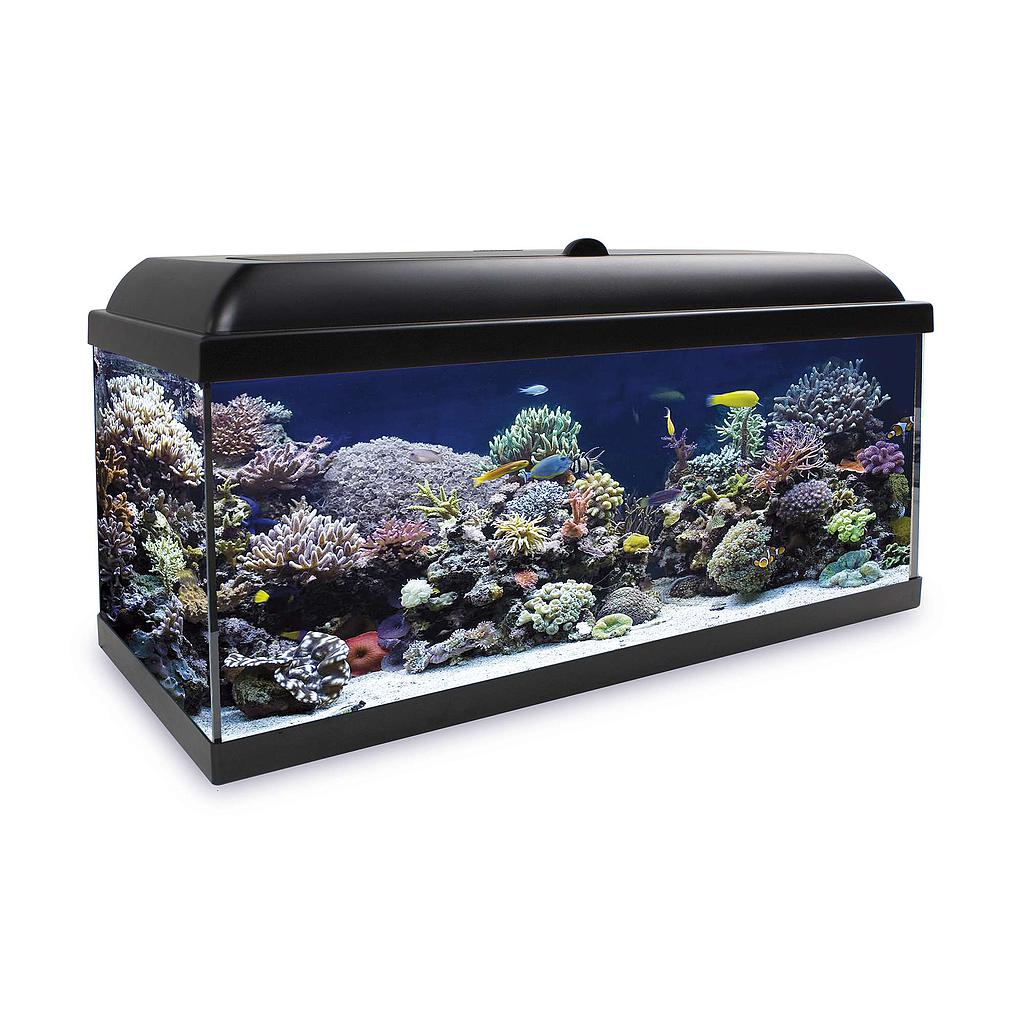 Kit Hydra 240 para agua salada (240.00 L)