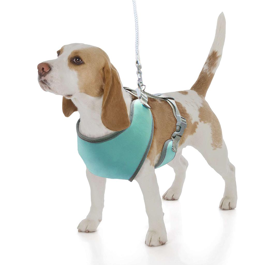 Arnés Soft XT-DOG S turquesa 15cm